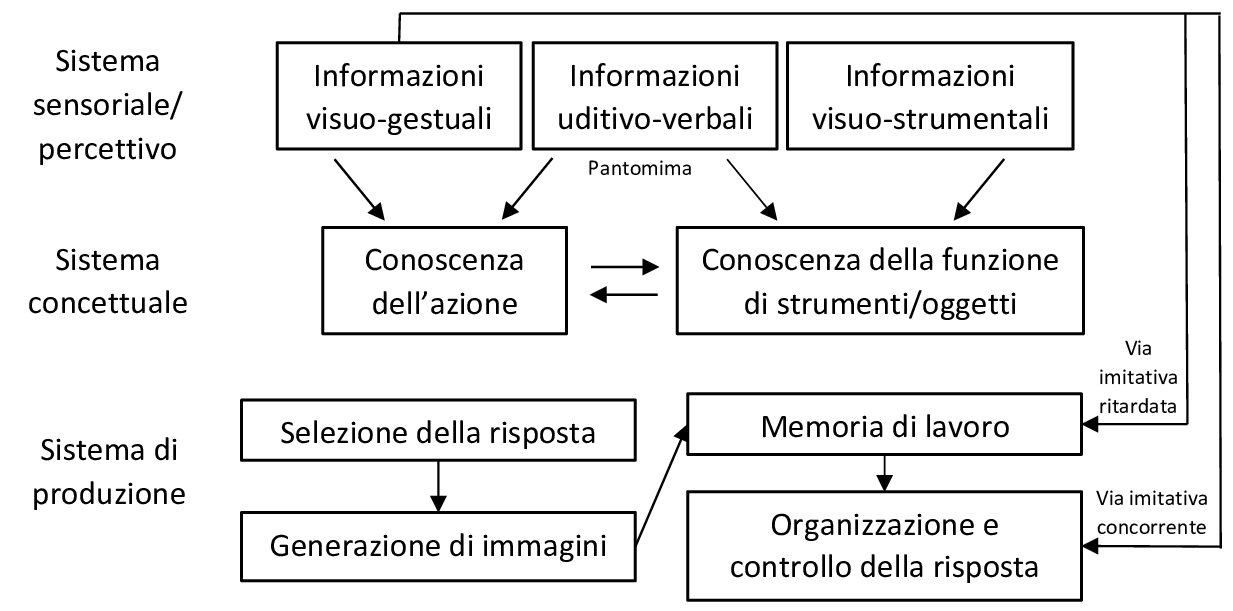 Modello